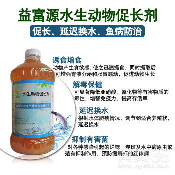 益富源水产促长剂 改善水质，提升水产品产量与品质的关键