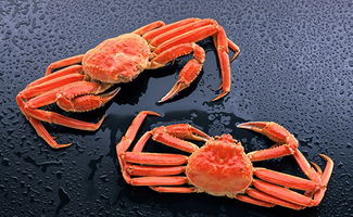 蟹的深意 论鲁迅笔下的蟹与水产品意象