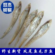 丹江口市博奥水产品有限责任公司 优质水产品供应商，专注冻银鱼与冻斑点叉尾鮰