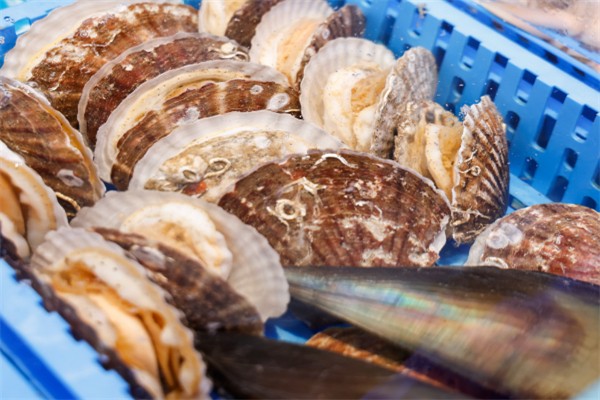 探寻扳倒海水产 传统与创新的水产品之旅