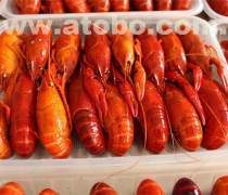 冷冻水产品鲳鱼热卖促销，家庭餐桌的鲜美新选择